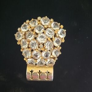 Vintage Rhinestone Dress Or Fur Clip
